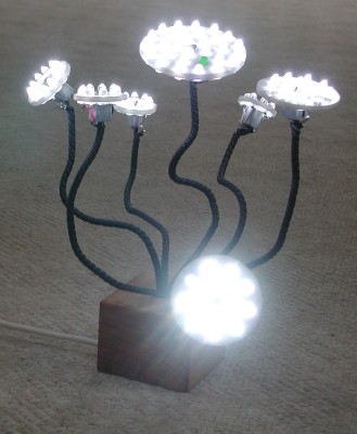 bloemlampje met LED's